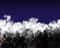 Free Background Of The Star Stock Images - 8031104