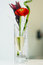 Free Flowers And Champagne Royalty Free Stock Image - 8034416