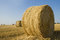 Free Straw Roll Stock Photos - 8037143