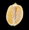 Free Section Of Lemon Stock Photography - 8048412