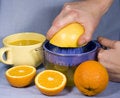 Free Fresh Oranges And Orange Juice Stock Photo - 8052020