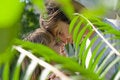 Free Young Couple In The Green Bushes Stock Images - 8052094