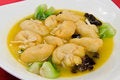 Free Tofu Royalty Free Stock Photos - 8058478