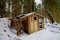 Free Abandoned Shed In The Woods Royalty Free Stock Image - 8050196