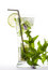 Free Mojito Cocktail Royalty Free Stock Photography - 8056127
