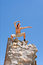 Free Young Man Doing Chinese Gymnastics On Top Stock Image - 8059781
