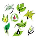 Free Abstract Floral Backgrounds Royalty Free Stock Photo - 8061965