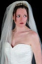 Free Bride Of The Day Royalty Free Stock Image - 8063446