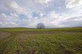 Free Nature Royalty Free Stock Photography - 8063847