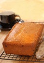 Free Cherry And Raisin Bread Royalty Free Stock Photography - 8063917