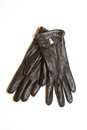 Free Gloves Stock Image - 8064781