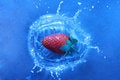 Free Freshness Royalty Free Stock Photography - 8065047