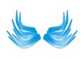 Free Blue Wings Stock Image - 8067161