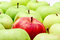 Free Red Apple In Green Apples Royalty Free Stock Photos - 8061378