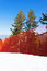 Free Ski Net Royalty Free Stock Images - 8061729