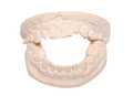 Free Teeth Stock Photography - 8070802