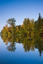 Free Reflection Royalty Free Stock Photo - 8081965