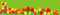 Free Spring Banner With Tulips Stock Images - 8087274