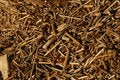 Free Marine Garbage Ashore Stock Photography - 8097602