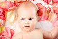 Free Rosy Girl Royalty Free Stock Photo - 8099105