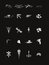 Free Decorative Vegetable Elements Royalty Free Stock Images - 8094279