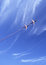 Free Air Show Stock Photos - 8097463