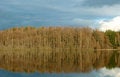 Free Lake And Forest Stock Photo - 817490