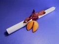 Free Education Career Stock Photos - 819873