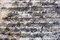 Free Old Brick Wall Stock Photo - 812100
