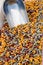 Free Macaroni Madness Royalty Free Stock Photo - 819895