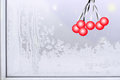 Free The Ice Pattern Stock Photography - 8101882