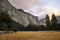 Free Yosemite Collection 5 Royalty Free Stock Image - 8114776