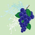 Free Berry Stock Images - 8122574