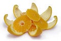 Free Slices Of An Orange On An Orange Peel. Royalty Free Stock Photo - 8126635