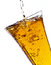 Free Champagne Royalty Free Stock Photo - 8123555