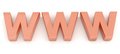 Free World Wide Web Internet Stock Images - 8132444