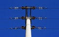 Free Pole Voltage Stock Photo - 8137830