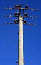 Free Pole Voltage Royalty Free Stock Photography - 8138117
