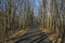 Free Henry Hudson Trail Stock Photos - 8131233