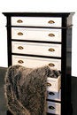 Free Drawers And Fur Stock Photo - 8140990