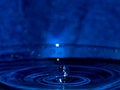 Free Water Drop Royalty Free Stock Image - 8142246