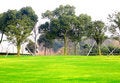 Free Trees And Lawn Stock Images - 8144604