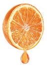 Free Oranges And Drop Royalty Free Stock Image - 8149136