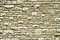 Free Brick Wall Royalty Free Stock Photos - 8146238