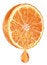 Free Oranges And Drop Royalty Free Stock Image - 8149136