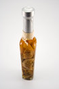 Free Gourmet Cooking Oil Stock Photo - 8151480