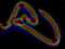Free Abstract Alien Organism Royalty Free Stock Photos - 8151688