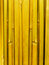 Free Bamboo Stalks Royalty Free Stock Image - 8154056