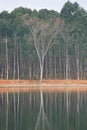 Free Inverted Image Stock Photos - 8163413