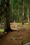 Free Hiking Stock Photography - 8164502